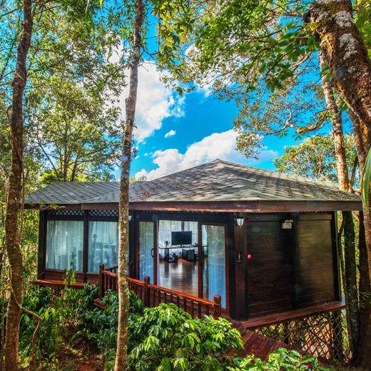 云南中国超美的普洱小熊猫庄园360落地玻璃森林独栋木屋别墅小熊猫