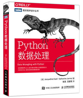 Python数据处理 全面掌握用Python进行爬虫抓取以及数据清洗与分析的方法 轻松实现高效数据处理