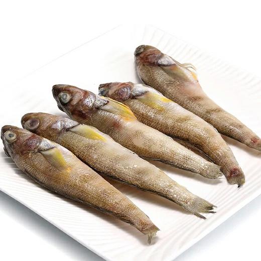 【大南极冰鱼】12元/斤,产地:南极