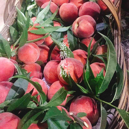 2021年最后的水蜜桃晚福锦