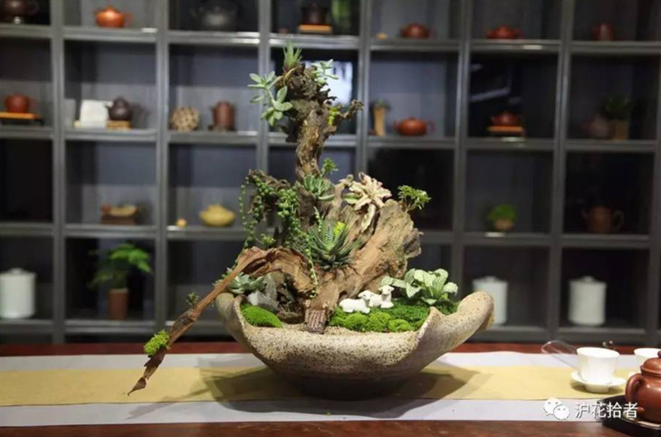 02组合盆栽的点睛之笔——各种装饰物的融入2.