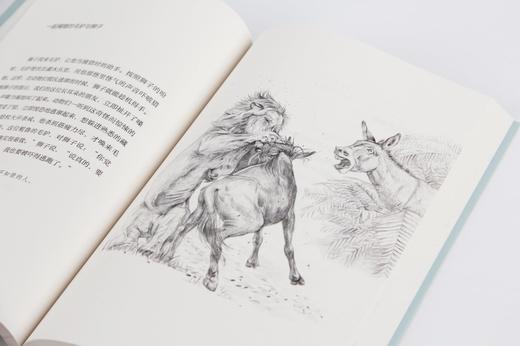 伊索寓言 伊索 马嘉恺译 外国文学 插画 精装 世界名著 纯手绘写实风格插画 儿童文学 儿童文学作家马嘉恺精译 2015新书 果麦图书 商品图3