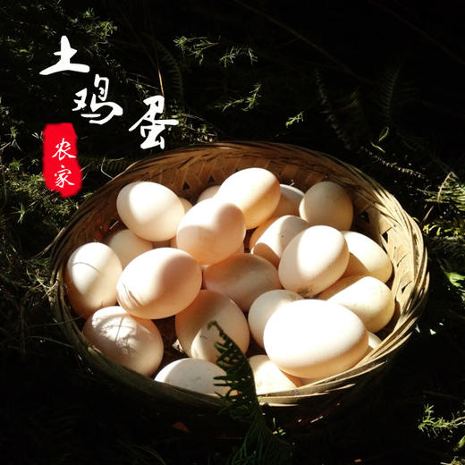 乡下农家土鸡蛋五谷喂养孕妇宝宝营养家鸡蛋