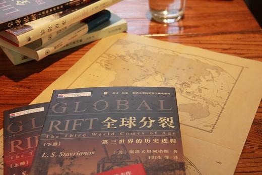 《全球分裂：第三世界的历史进程》 商品图1