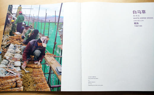 《第二届“故乡的路”中国少数民族摄影师奖》作品集 商品图14