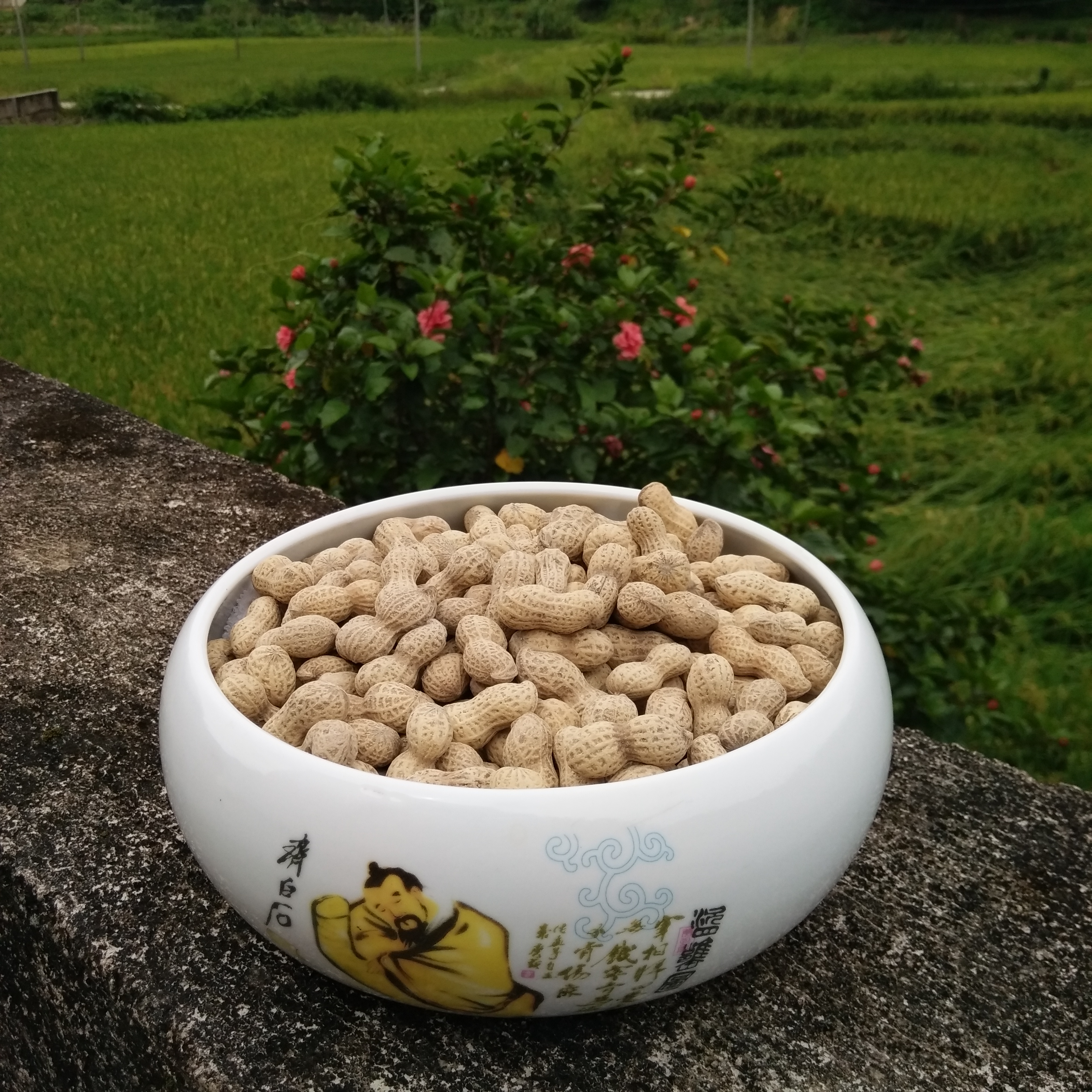 咸香小种花生兄弟聚会饮酒必备下酒花生酥脆香小花生400g