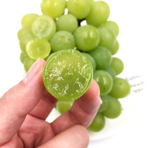 浙江奶油葡萄500g装