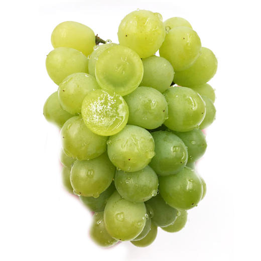 浙江奶油葡萄500g装