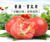 吐鲁番沙瓤番茄净重 5斤净重家庭装/礼盒装 顺丰产地直邮 商品缩略图0