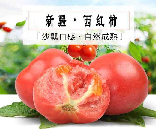 吐鲁番沙瓤番茄净重 5斤净重家庭装/礼盒装 顺丰产地直邮 商品图0