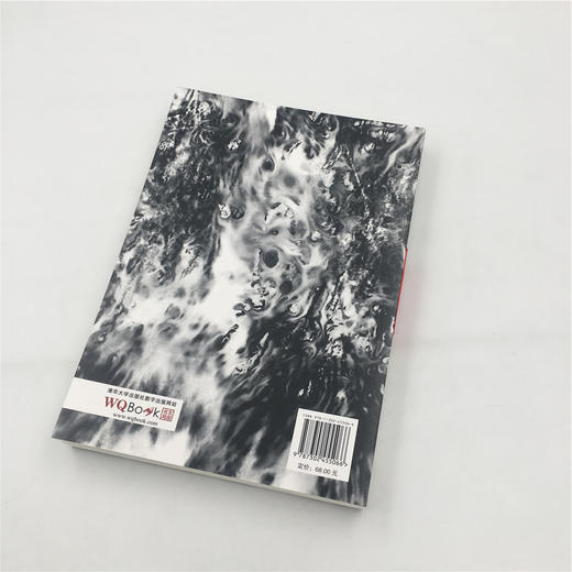 山海经 全本：译·注·精解 商品图4