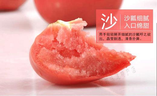 火焰番茄6斤家庭装20-22果左右顺丰包邮 商品图3