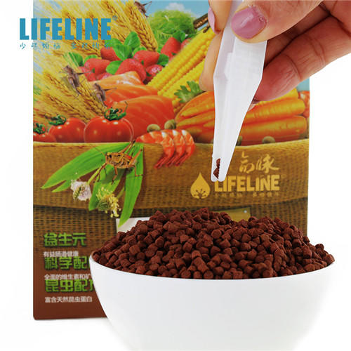 血鹦鹉鱼粮，增色增红，300g、900g 商品图3