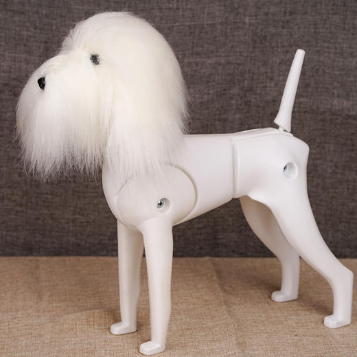 假模特狗-头毛 OPAWZ小爪印 商品图3