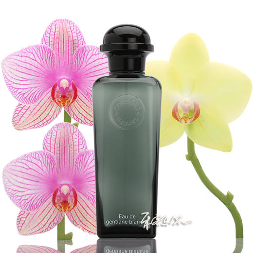 HERMES/爱马仕 雪白龙胆古龙水/中性香水 分装试管小样/余香 商品图0