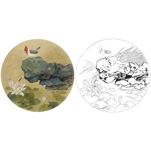 工笔花鸟白描底稿-周中耀-荷花睡莲小品《凝思》-多种白描尺寸可选-ZY14 商品图0