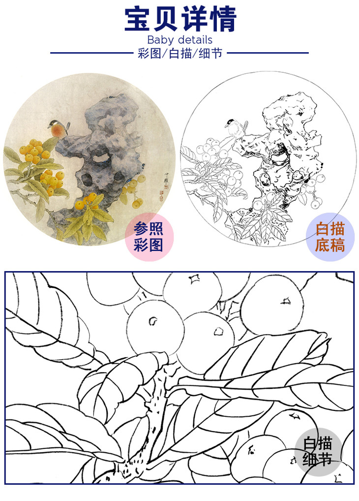 工笔花鸟白描底稿周中耀枇杷小品朱弹金丸璨门庭多种白描尺寸可选zy16