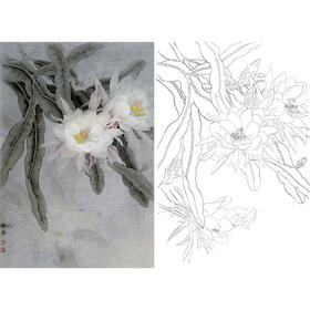 竖幅工笔花鸟白描底稿-周中耀-昙花《一瞬亦永恒》-多种白描尺寸可选-ZT11
