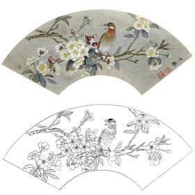 工笔花鸟白描底稿-周中耀扇面小品《素艳南窗雪一枝》-多种白描尺寸可选-SL21