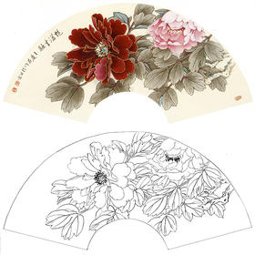 工笔花鸟白描底稿-牡丹扇面小品-王庆升《艳溢香融》-多种白描尺寸可选-SL09