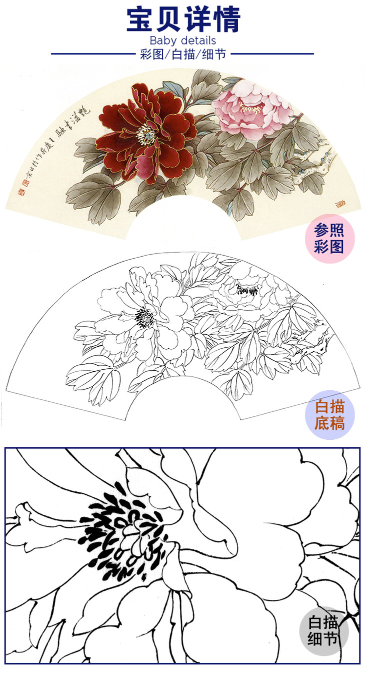 工筆花鳥白描底稿牡丹扇面小品王慶升豔溢香融多種白描尺寸可選sl09