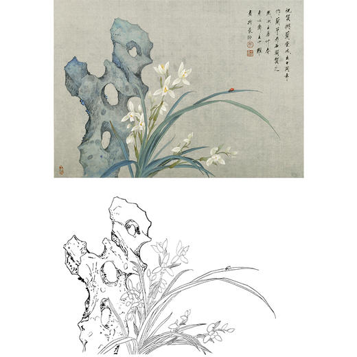 工笔花鸟白描底稿兰花周中耀幽兰斗方小品册页zt18