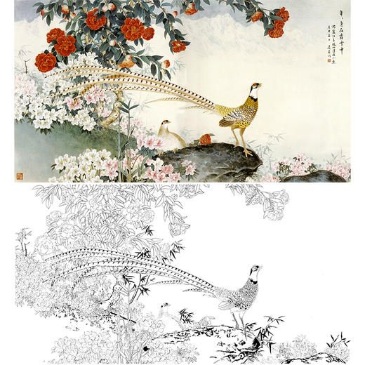 四尺六尺竖幅工笔花鸟白描底稿-山茶花锦鸡-王庆升《玉龙春晖》-RT05 商品图0