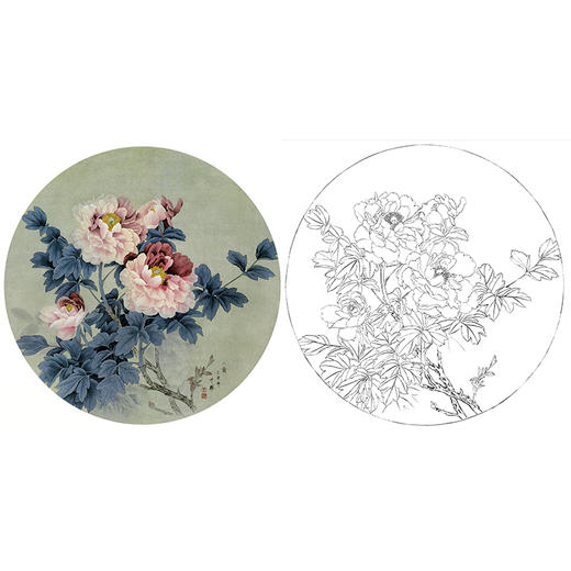 工笔花鸟白描底稿-周中耀牡丹小品《二乔》-多种白描尺寸可选-ZY04 商品图0
