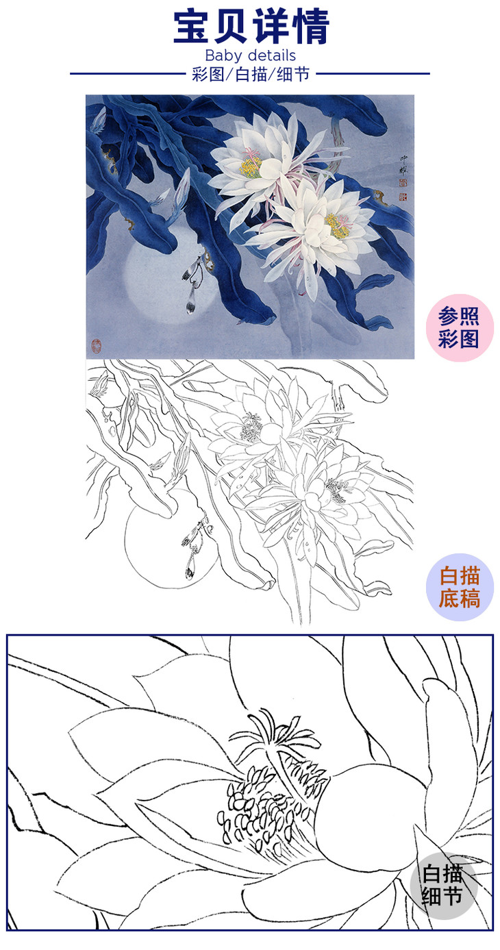 工筆花鳥白描底稿曇花週中耀影逐情濃斗方小品冊頁zt17