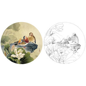 工笔花鸟白描底稿-荷花鸳鸯小品-周中耀《伴侣》-多种白描尺寸可选-ZY01