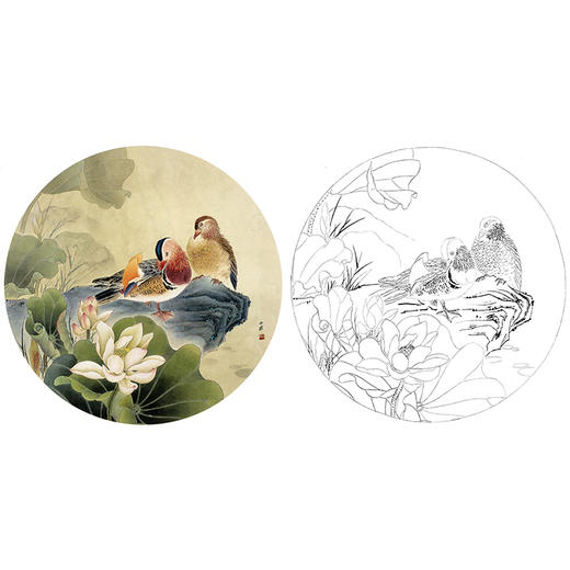 工笔花鸟白描底稿-荷花鸳鸯小品-周中耀《伴侣》-多种白描尺寸可选-ZY01 商品图0