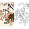 竖幅工笔花鸟白描底稿-王庆升梅花蓝鹊-RT02 商品缩略图0