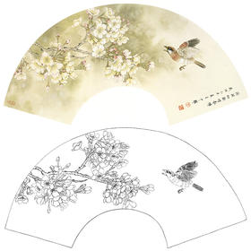 工笔花鸟白描底稿-周中耀扇面小品《夜雨初歇惜春晖》-多种白描尺寸可选-SL24