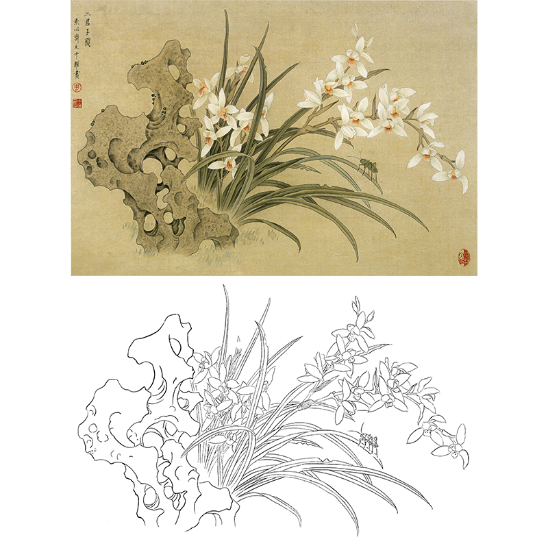 横幅工笔花鸟白描底稿-兰花-周中耀《二君子图》-多种白描尺寸可选-ZT14