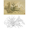 横幅工笔花鸟白描底稿-兰花-周中耀《二君子图》-多种白描尺寸可选-ZT14 商品缩略图0