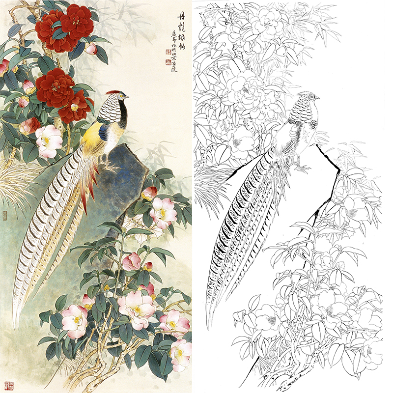 四尺六尺竖幅工笔花鸟白描底稿-王庆升锦鸡-RT09
