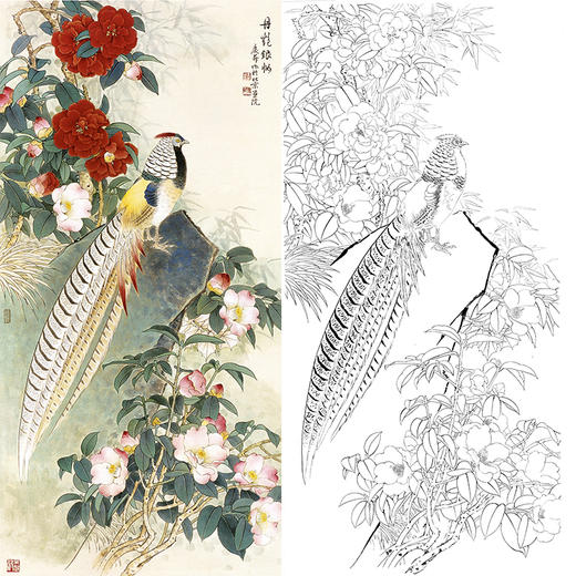 四尺六尺竖幅工笔花鸟白描底稿王庆升锦鸡rt09