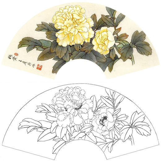 牡丹小品 白描图片