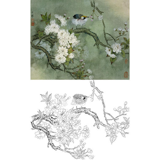 工笔花鸟白描底稿周中耀樱花自娱斗方小品册页多种白描尺寸可选zt15