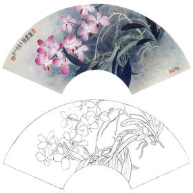 工笔花鸟白描底稿-王庆升《万带兰》扇面小品-多种白描尺寸可选-SL06