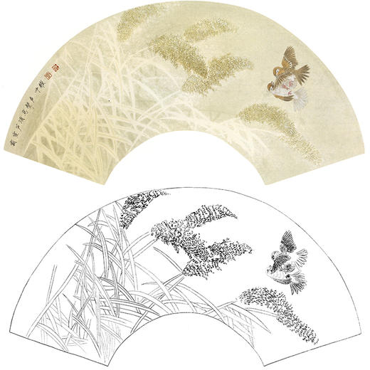 工笔花鸟白描底稿-周中耀扇面小品《霜雪芦蒲鸟声声》-多种白描尺寸可选-SL20 商品图0