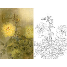 竖幅工笔花鸟白描底稿-周中耀-牡丹《梦随庄生入洛阳》-多种白描尺寸可选-ZT06