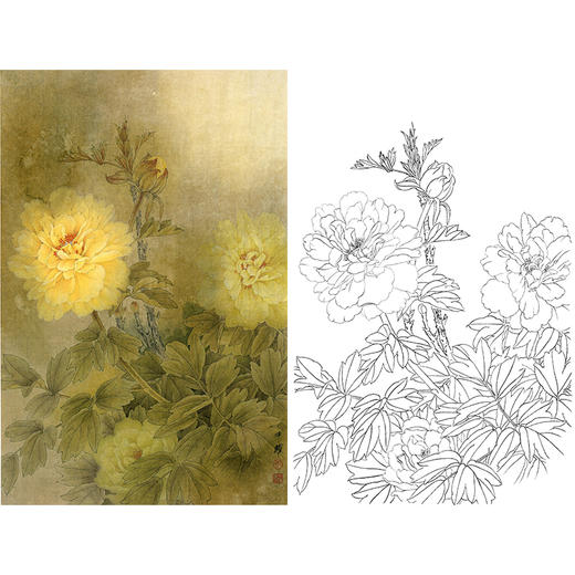 竖幅工笔花鸟白描底稿-周中耀-牡丹《梦随庄生入洛阳》-多种白描尺寸可选-ZT06 商品图0