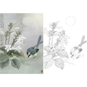 竖幅工笔花鸟白描底稿-周中耀《夜来香》-多种白描尺寸可选-ZT10