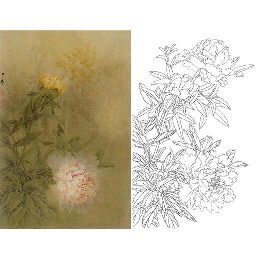 竖幅工笔花鸟白描底稿-周中耀-牡丹《晓月应从此处留》-多种白描尺寸可选-ZT05 商品图0