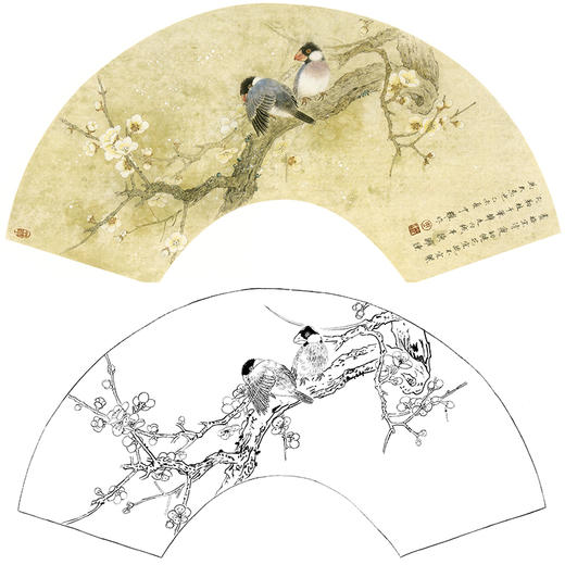 工笔花鸟白描底稿周中耀梅花扇面小品初雪多种白描尺寸可选sl13