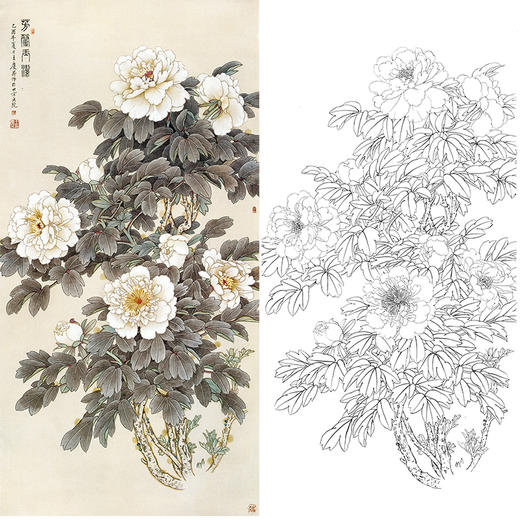 白描牡丹花鸟图片大全图片