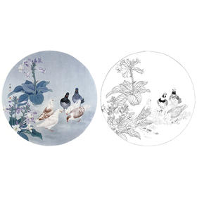 工笔花鸟白描底稿-周中耀《会盟》-鸽子小品-多种白描尺寸可选-ZY07