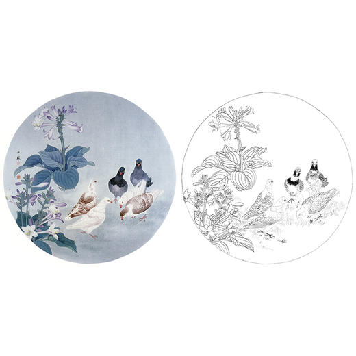 工笔花鸟白描底稿-周中耀《会盟》-鸽子小品-多种白描尺寸可选-ZY07 商品图0