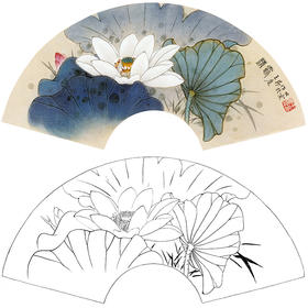 工笔花鸟白描底稿-荷花-王庆升《清露》扇面小品-多种白描尺寸可选-SL05